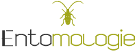 logo-entomologie